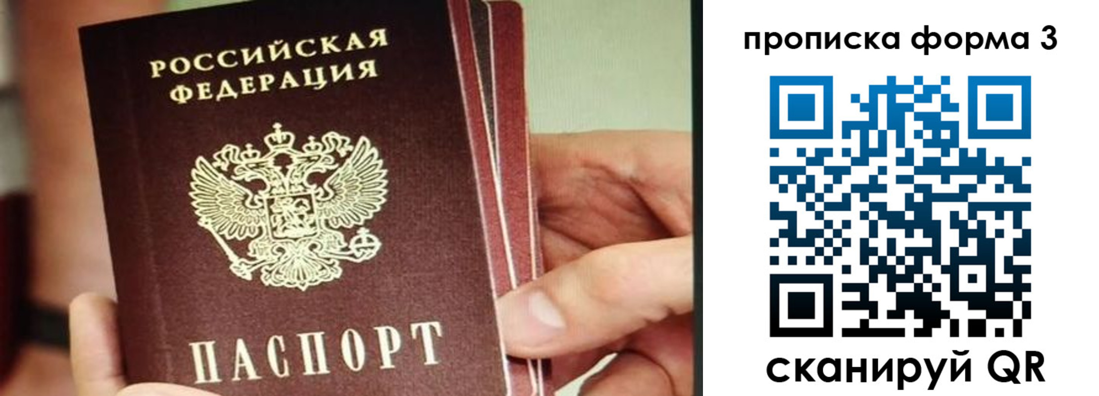 прописка законно в Новоалександровске
